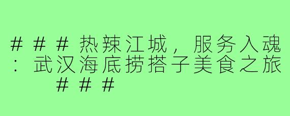 ###热辣江城，服务入魂：武汉海底捞搭子美食之旅

###