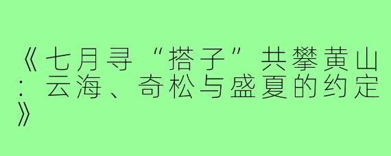 《七月寻“搭子”共攀黄山：云海、奇松与盛夏的约定》