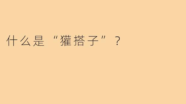 什么是“獾搭子”?