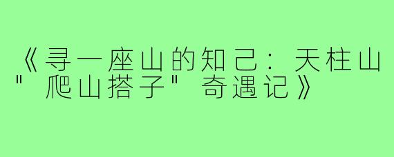 《寻一座山的知己：天柱山
