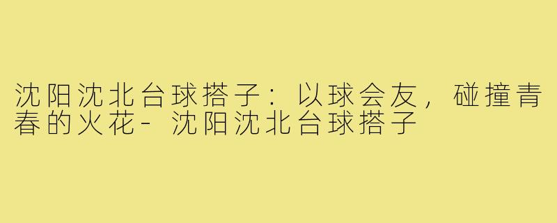 沈阳沈北台球搭子:以球会友,碰撞青春的火花-沈阳沈北台球搭子