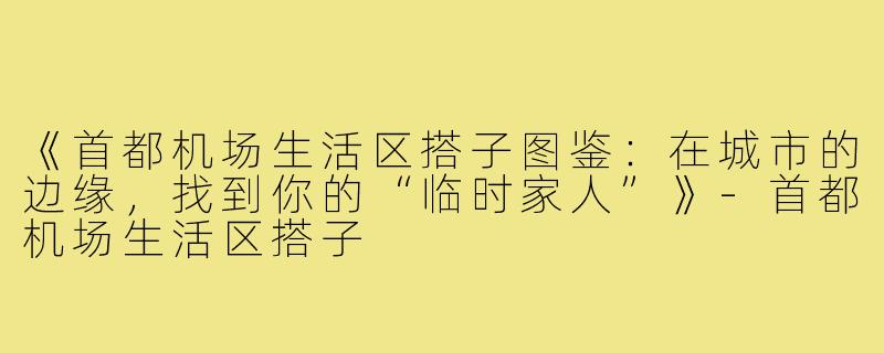 《首都机场生活区搭子图鉴：在城市的边缘，找到你的“临时家人”》-首都机场生活区搭子
