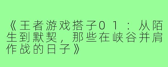 《王者游戏搭子01：从陌生到默契，那些在峡谷并肩作战的日子》