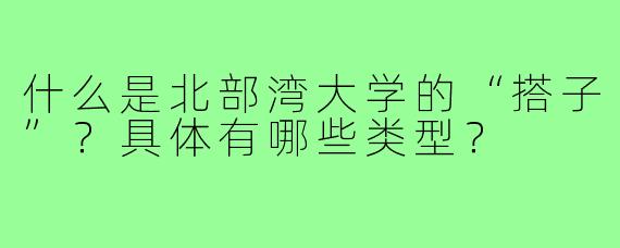 什么是北部湾大学的“搭子”？具体有哪些类型？