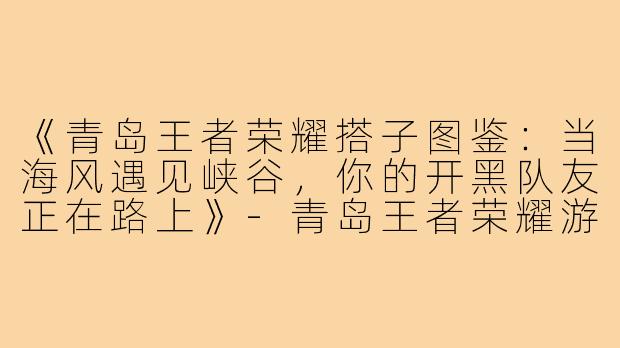《青岛王者荣耀搭子图鉴：当海风遇见峡谷，你的开黑队友正在路上》-青岛王者荣耀游戏搭子