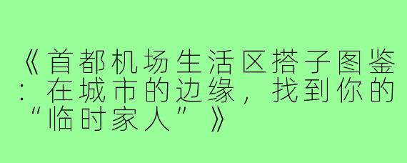 《首都机场生活区搭子图鉴：在城市的边缘，找到你的“临时家人”》