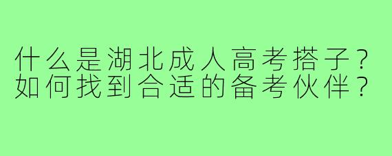 什么是湖北成人高考搭子？如何找到合适的备考伙伴？