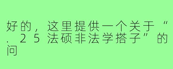 好的，这里提供一个关于“.25法硕非法学搭子”的问
