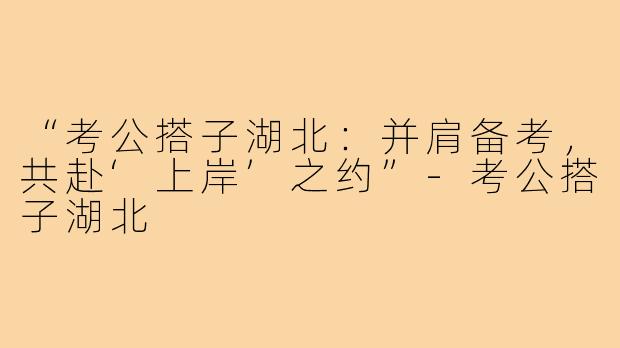 “考公搭子湖北：并肩备考，共赴‘上岸’之约”-考公搭子湖北