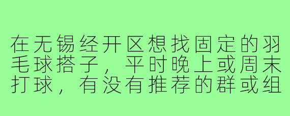 在无锡经开区想找固定的羽毛球搭子，平时晚上或周末打球，有没有推荐的群或组织可以加入？
