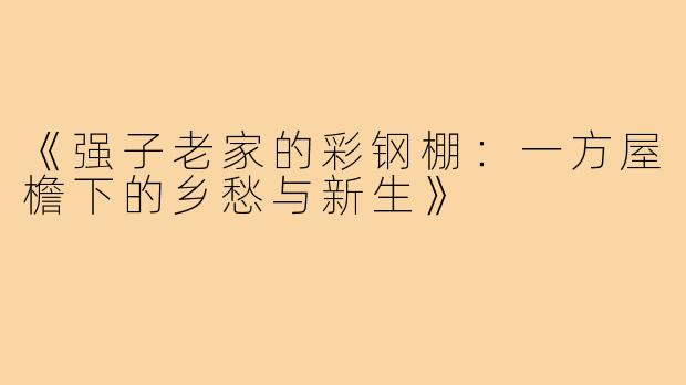 《强子老家的彩钢棚：一方屋檐下的乡愁与新生》
