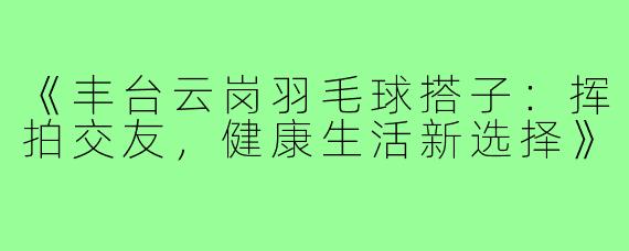 《丰台云岗羽毛球搭子:挥拍交友,健康生活新选择》