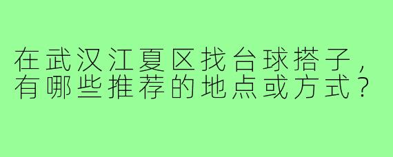在武汉江夏区找台球搭子,有哪些推荐的地点或方式?