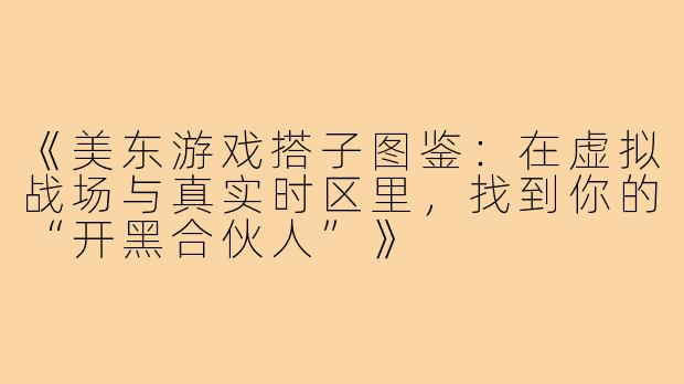 《美东游戏搭子图鉴：在虚拟战场与真实时区里，找到你的“开黑合伙人”》
