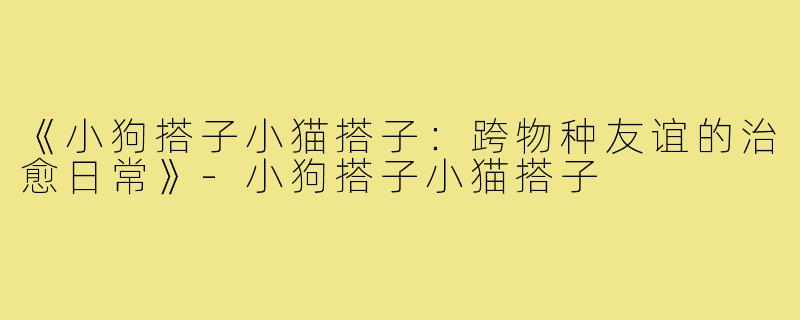 《小狗搭子小猫搭子:跨物种友谊的治愈日常》-小狗搭子小猫搭子