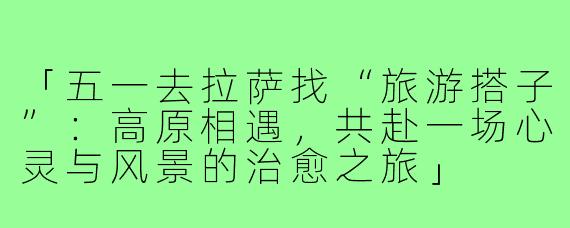 「五一去拉萨找“旅游搭子”：高原相遇，共赴一场心灵与风景的治愈之旅」