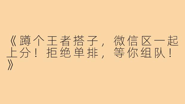 《蹲个王者搭子，微信区一起上分！拒绝单排，等你组队！》