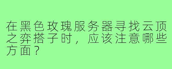 在黑色玫瑰服务器寻找云顶之弈搭子时,应该注意哪些方面?