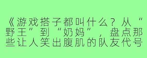 《游戏搭子都叫什么?从“野王”到“奶妈”,盘点那些让人笑出腹肌的队友代号》
