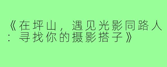 《在坪山，遇见光影同路人：寻找你的摄影搭子》