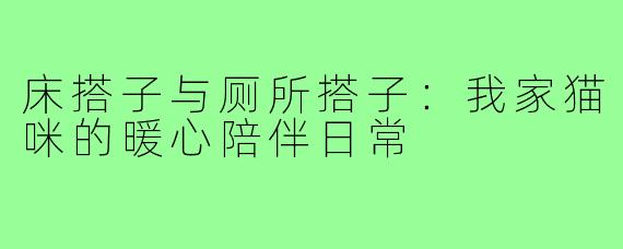 床搭子与厕所搭子：我家猫咪的暖心陪伴日常