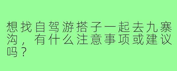 想找自驾游搭子一起去九寨沟，有什么注意事项或建议吗？