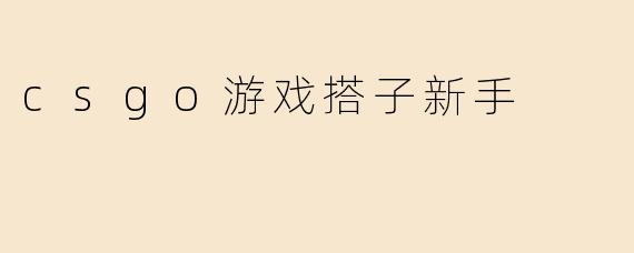 csgo游戏搭子新手