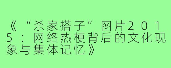 《“杀家搭子”图片2015：网络热梗背后的文化现象与集体记忆》