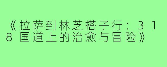 《拉萨到林芝搭子行：318国道上的治愈与冒险》