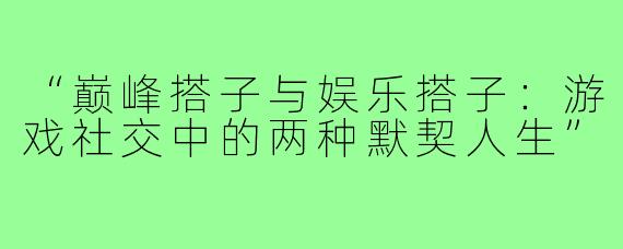 “巅峰搭子与娱乐搭子：游戏社交中的两种默契人生”