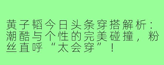 黄子韬今日头条穿搭解析:潮酷与个性的完美碰撞,粉丝直呼“太会穿”!