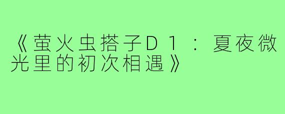 《萤火虫搭子D1:夏夜微光里的初次相遇》