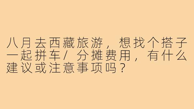 八月去西藏旅游，想找个搭子一起拼车/分摊费用，有什么建议或注意事项吗？