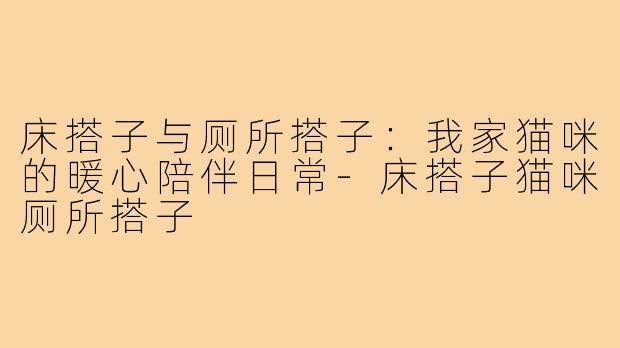 床搭子与厕所搭子：我家猫咪的暖心陪伴日常-床搭子猫咪厕所搭子