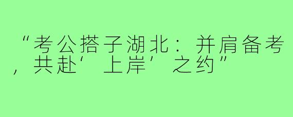 “考公搭子湖北：并肩备考，共赴‘上岸’之约”