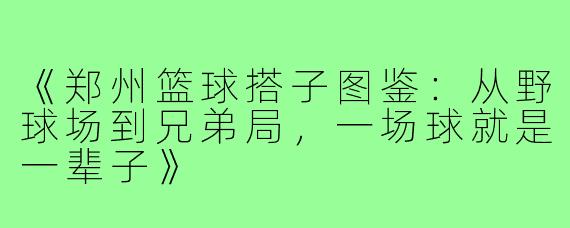 《郑州篮球搭子图鉴：从野球场到兄弟局，一场球就是一辈子》