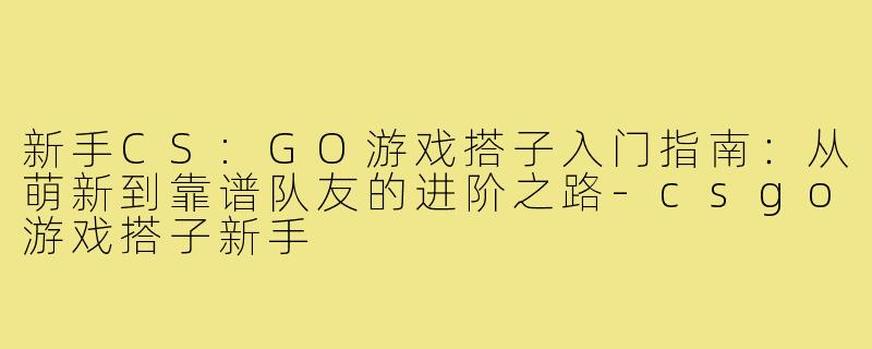 新手CS:GO游戏搭子入门指南：从萌新到靠谱队友的进阶之路-csgo游戏搭子新手