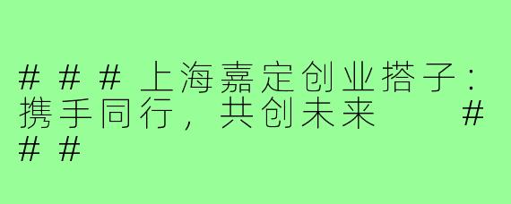 ###上海嘉定创业搭子：携手同行，共创未来

###