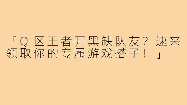 「Q区王者开黑缺队友？速来领取你的专属游戏搭子！」