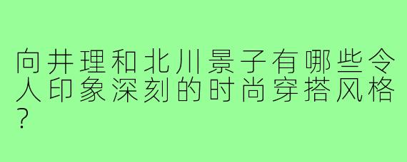 向井理和北川景子有哪些令人印象深刻的时尚穿搭风格?