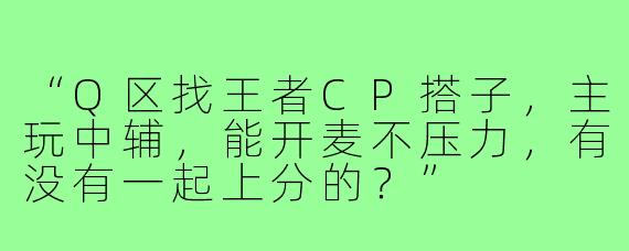 “Q区找王者CP搭子,主玩中辅,能开麦不压力,有没有一起上分的?”
