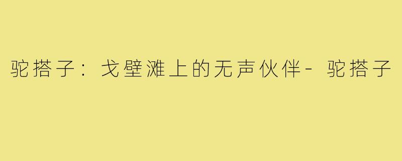 驼搭子：戈壁滩上的无声伙伴-驼搭子