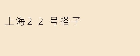上海22号搭子
