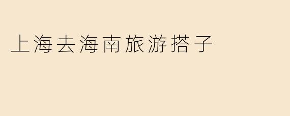 上海去海南旅游搭子