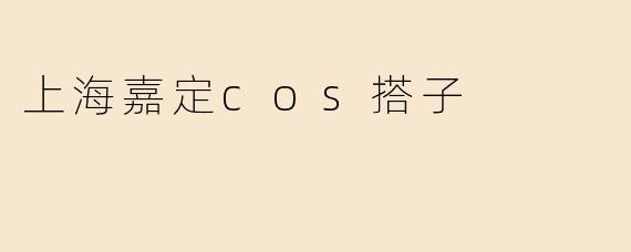 上海嘉定cos搭子