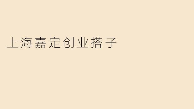 上海嘉定创业搭子