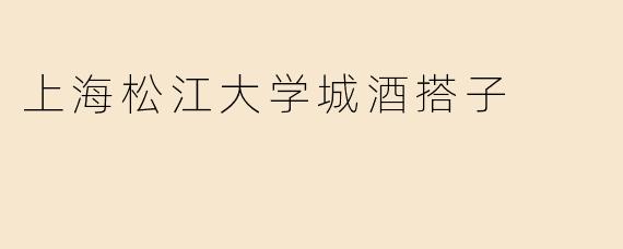 上海松江大学城酒搭子