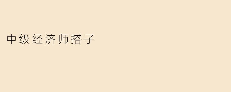 中级经济师搭子