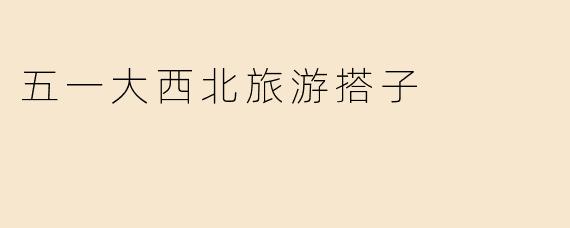 五一大西北旅游搭子