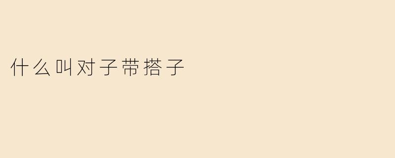 什么叫对子带搭子